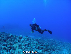 Dive master on boat dive.  Big Island, Hawaii. Olympus SP... by Bill Arle 